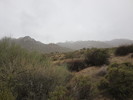photo thumbnail #15