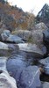 photo thumbnail #15
