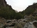 photo thumbnail #2