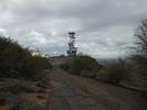 photo thumbnail #2