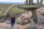 photo thumbnail #4