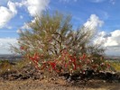 photo thumbnail #4