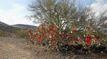 photo thumbnail #1