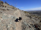 photo thumbnail #4