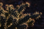 photo thumbnail #8