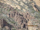 photo thumbnail #11
