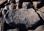 photo thumbnail #11
