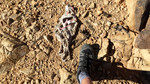 photo thumbnail #9