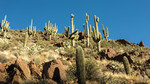 photo thumbnail #13
