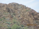 photo thumbnail #1