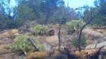 photo thumbnail #1