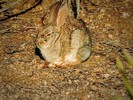 photo thumbnail #3