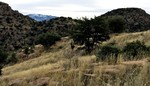 photo thumbnail #5