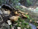 photo thumbnail #2