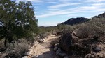 photo thumbnail #1