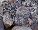 photo thumbnail #9