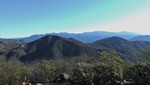 photo thumbnail #3