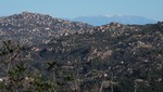 photo thumbnail #5