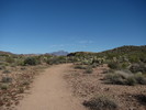 photo thumbnail #3