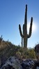 photo thumbnail #11