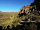 photo thumbnail #5