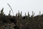 photo thumbnail #6