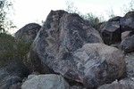 photo thumbnail #4