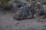 photo thumbnail #13