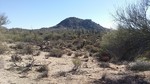 photo thumbnail #10