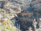 photo thumbnail #4