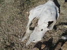 photo thumbnail #3