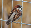 photo thumbnail #9