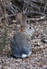 photo thumbnail #14