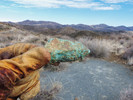 photo thumbnail #13
