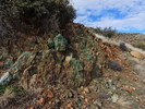 photo thumbnail #14