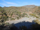 photo thumbnail #13