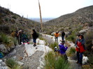photo thumbnail #7