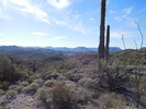 photo thumbnail #7