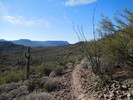 photo thumbnail #10