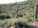 photo thumbnail #3