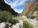 photo thumbnail #13