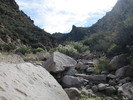 photo thumbnail #7