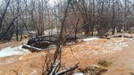 photo thumbnail #3