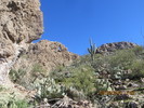 photo thumbnail #7