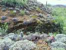 photo thumbnail #3