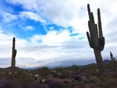 photo thumbnail #1