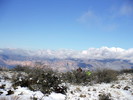 photo thumbnail #3