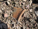 photo thumbnail #6