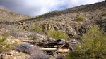 photo thumbnail #13