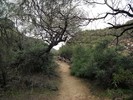 photo thumbnail #5